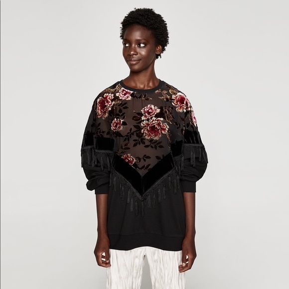 Zara velvet sweatshirt shop